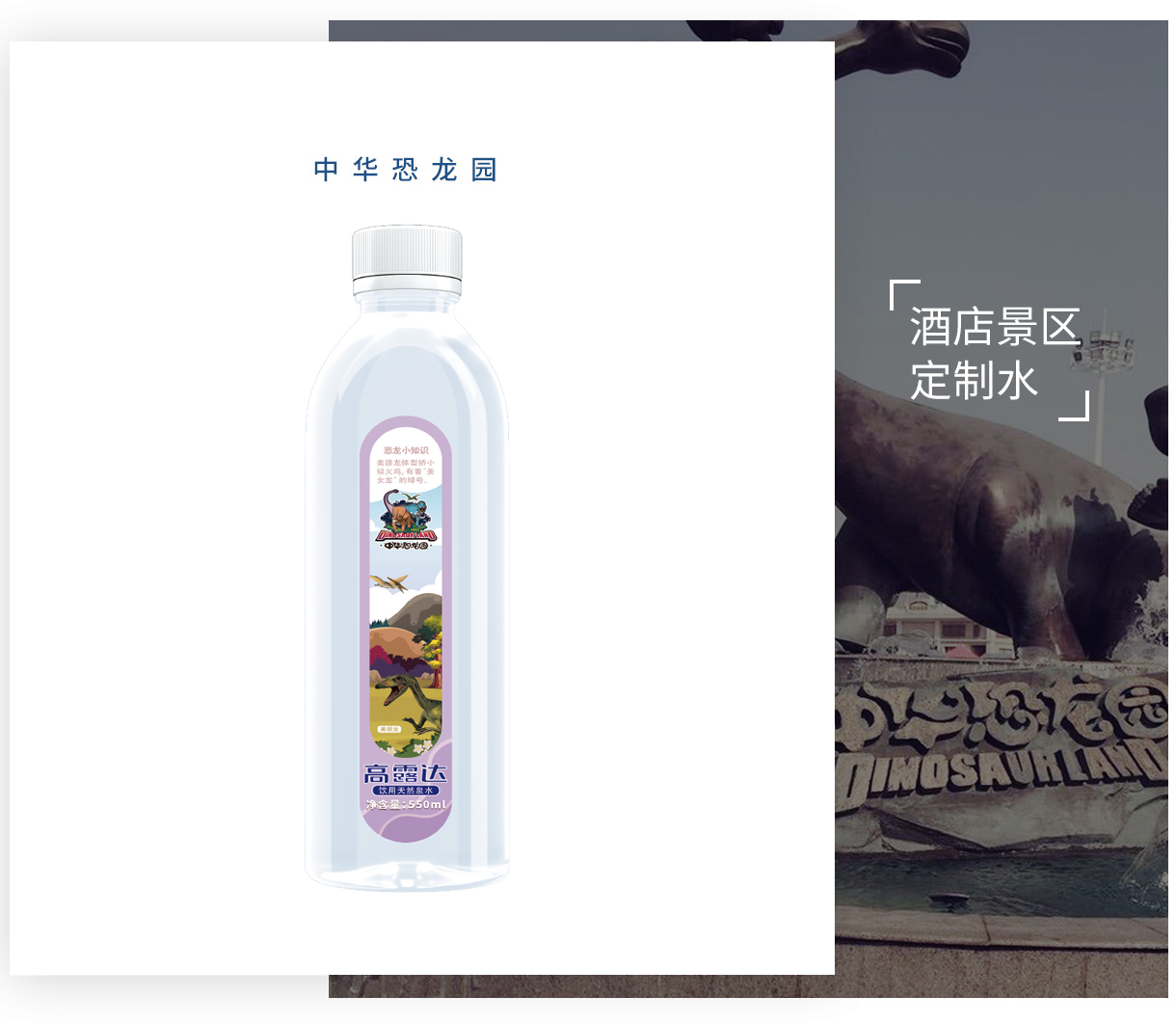 �ڲ�����Ϸ������(�й�)רҵ����,����Ϊ��